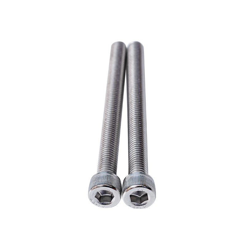 SS304 DIN912 M10 imbus vijci